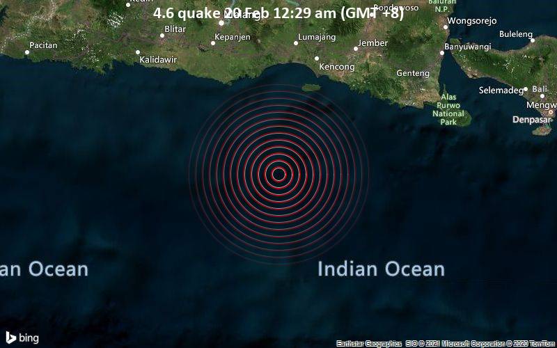 Moderates Erdbeben der Stärke 4.6 - Indischer Ozean, 114 km südlich von Lumajang, Ostjava, Indonesien, am Samstag, 20. Feb 2021 um 00:29 Lokalzeit