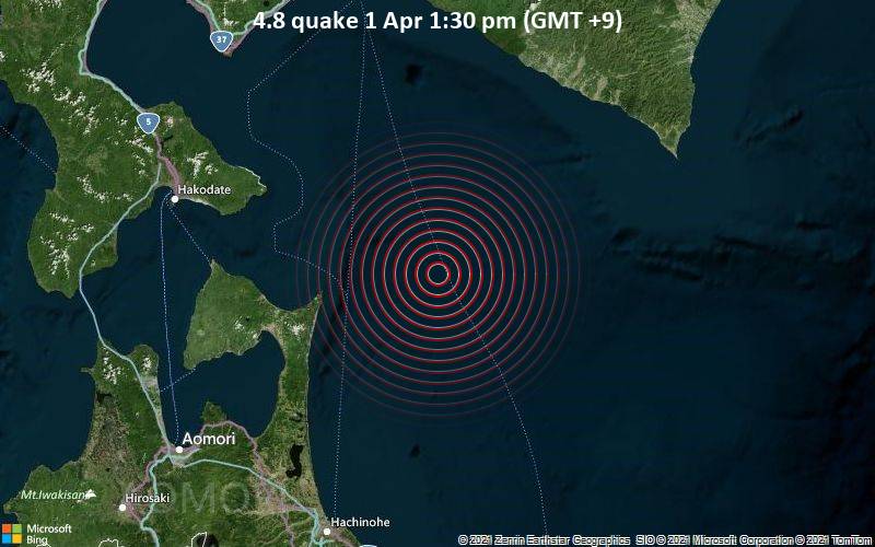 4.8 Erdbeben 1. April 13:30 Uhr (GMT +9)
