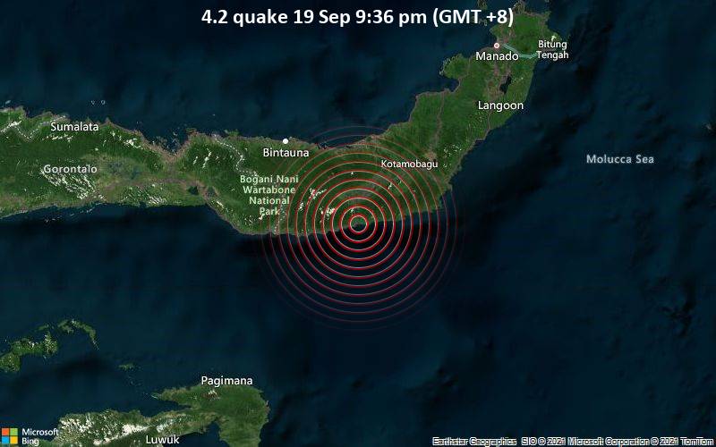 4.2 quake 19 Sep 9:36 pm (GMT +8)
