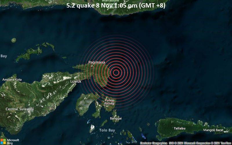 Starkes Magnitude 5.2 Erdbeben - Molucca Sea, 87 km östlich von Luwuk, Indonesien, am Montag,  8. Nov 2021 um 13:05 Lokalzeit