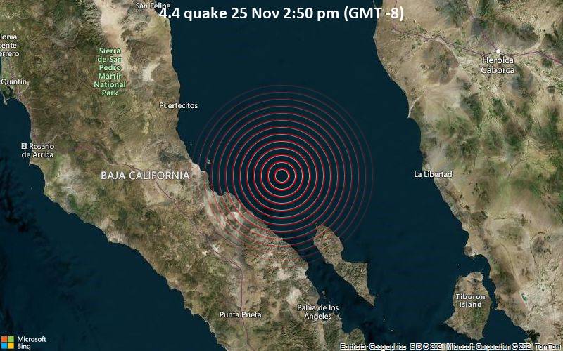Moderates Erdbeben der Stärke 4.4 - Gulf of California, 162 km südlich von Puerto Peñasco, Sonora, Mexiko, am Donnerstag, 25. Nov 2021 um 14:50 Lokalzeit