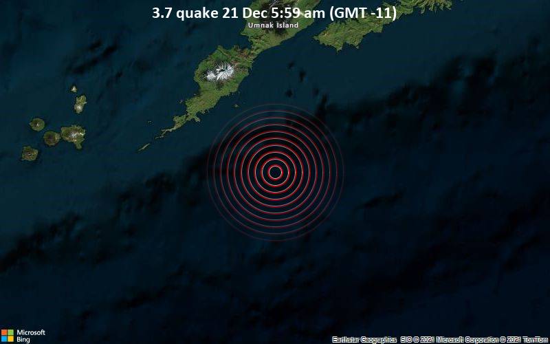 3.7 quake 21 Dec 5:59 am (GMT -11)