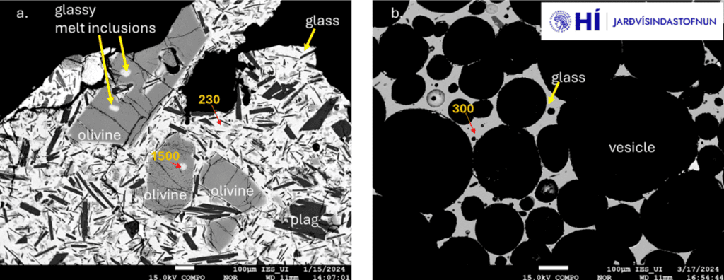 Reflection electron images of (a) lava rapidly cooled (sampled in January 2024) and (b) highly vesicular pyroxene (from March 17, 2024) (image: The University of the Earth Science Institute of Iceland)
