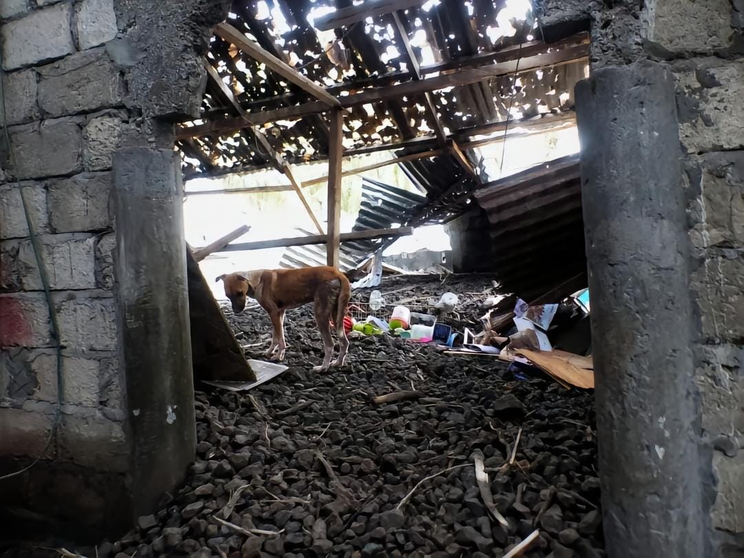 Damaged roof affected by fall of volcanic bombs (image: MiBaWi/X)