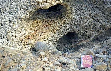 Two large, connected holes at the base of the pumce. Deep inside one of them, one could barely see wood, too. This piece was first recovered in July 2007 and brought a wonderful, almost 2 meter long branch back to light, which is now displayed in the new geological museum in Perissa.