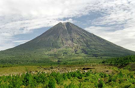 The perfectly symmetrical cone of Semeru volcano