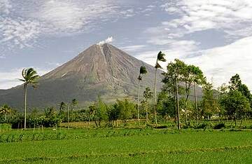 Semeru volcano behind rice fields