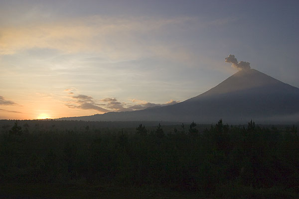 Semeru from the S side at dawn