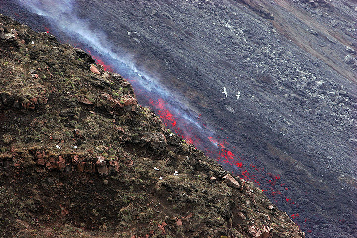 The lava flow from the 400 m vent, after the pause of the eruption on 8 March, has intensified and its front is now at 200 m elevation.