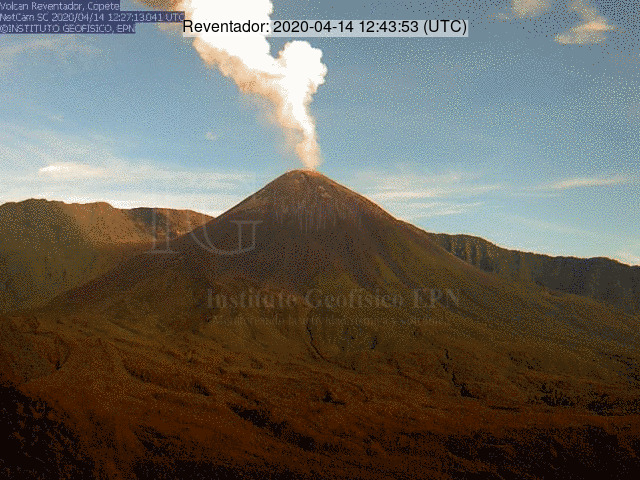 White ash plume rising from Reventador volcano (image: IG)