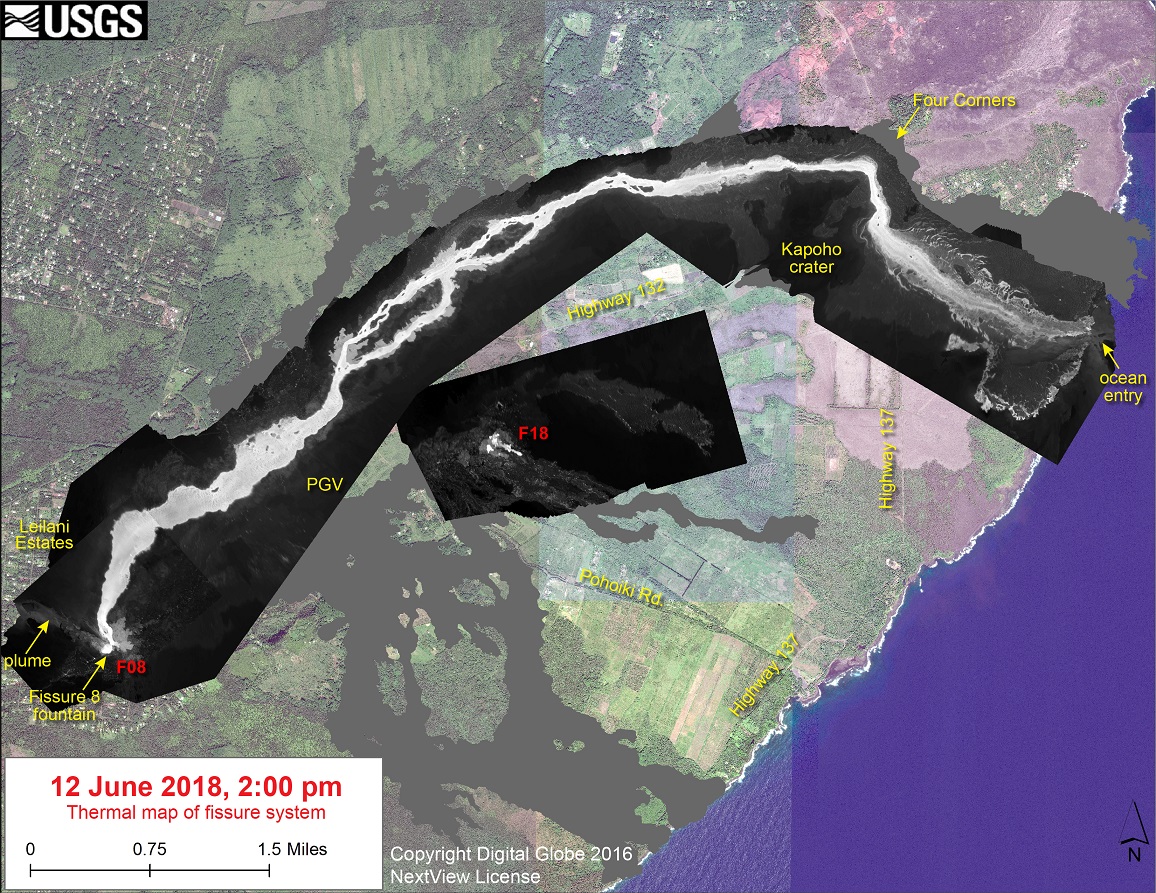 Thermal map of the active fissure system and lava flows as of 2 pm on Tuesday, June 12. The fountain at Fissure 8 remains active, with the lava flow entering the ocean at Kapoho. Very small, weak lava flows have been active recently near the Fissure 18 area. The black and white area is the extent of the thermal map. Temperature in the thermal image is displayed as gray-scale values, with the brightest pixels indicating the hottest areas. (HVO/USGS)