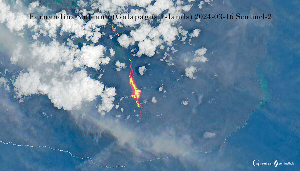 The lava flow on the S-SW slope of Fernandina volcano remains active (image: Sentinel-2)