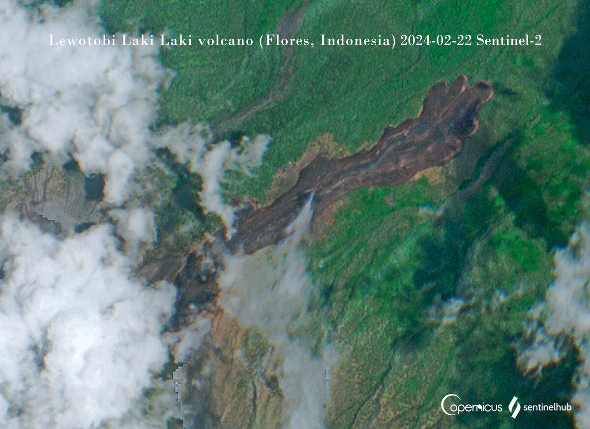 The full-length lava flow from Lewotobi captured from space on 22 Feb (image: Sentinel-2)