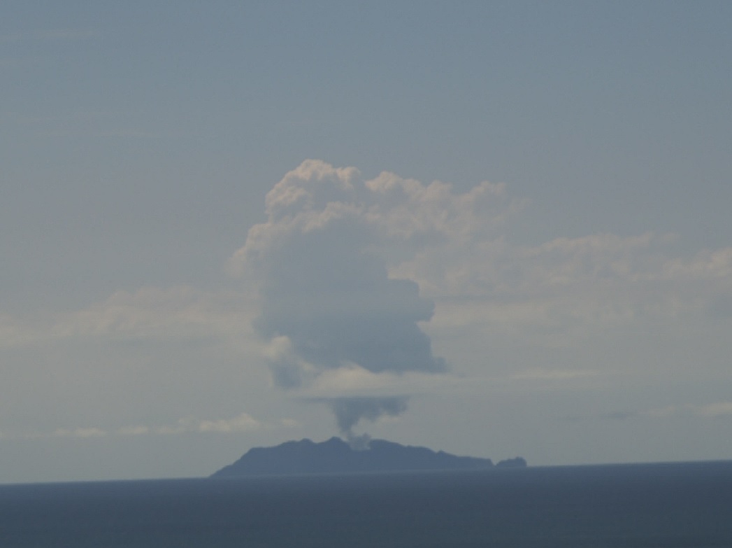 Gas and steam-rich plume emitted from White Island volcano on 5 March, visible from the mainland (image: GeoNet)