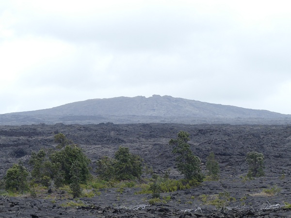 The small shield build during the 1969 - 1974 Mauna Ulu eruption