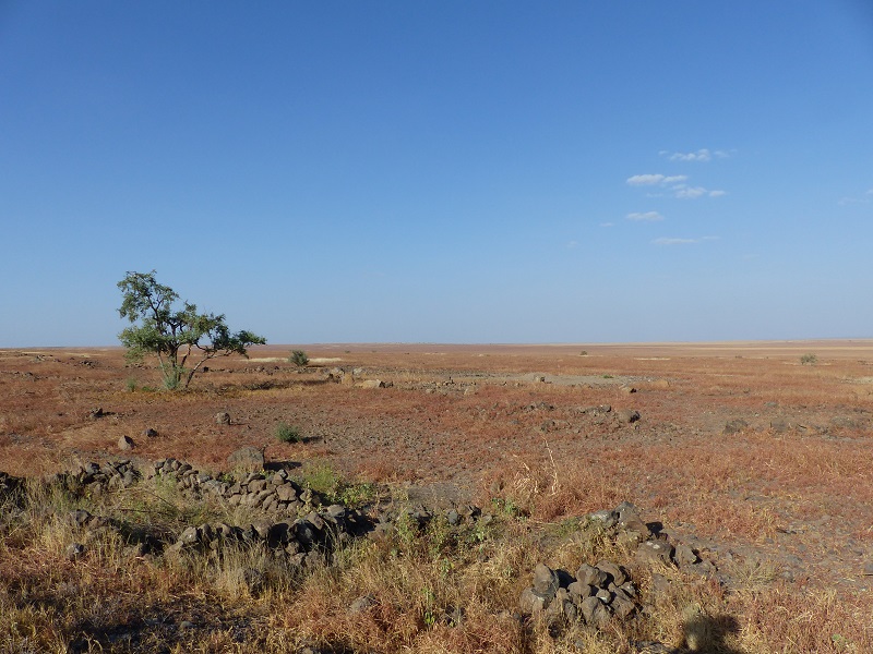 Red steppe to half-desert landscape on the road to Logiya (Ingrid Smet - November 2015)