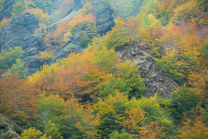 Autumn colours on the Valle´s steep cliff faces