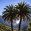 Tour to the Canary Islands