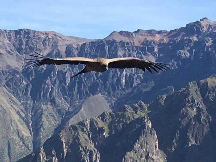 Climbing Misti Volcano - Arequipa, PeruPeruvian Colca Trails