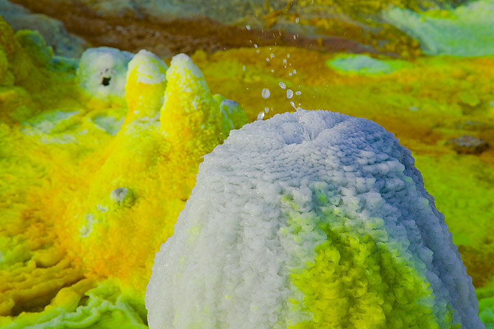 Bizarre miniature geysers or salt springs at Dallol (dec 2010; image: Tom Pfeiffer)