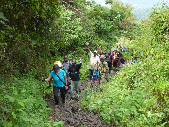 The hike starts in lush rain forest but this gradually gives way to sparser vegetation as the path goes along old volcanic deposits