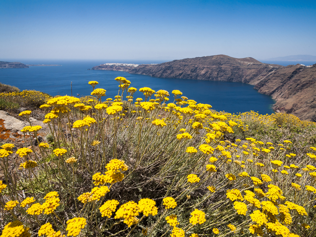 The cliffs of the Santorini caldera