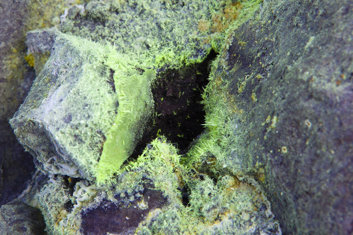 Sulphur crystals formed around one of the many fumaroles on Krakatau's summit