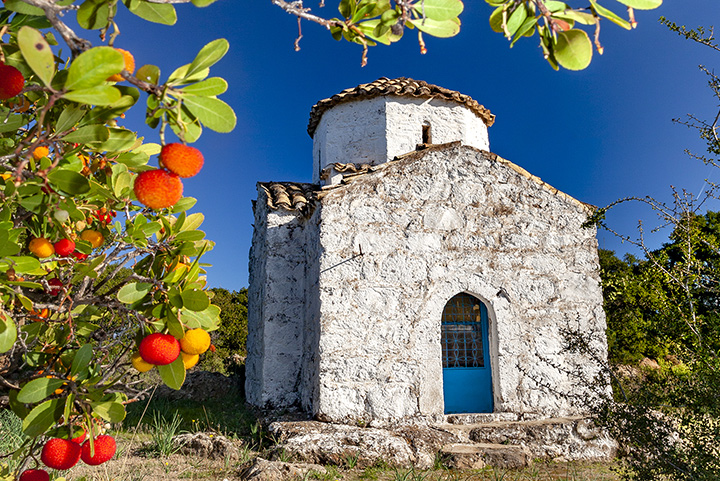 The church of Agios Konstantinos&Elenis near Kounoupitsa valley and the red fruit of the strawberrytree.
