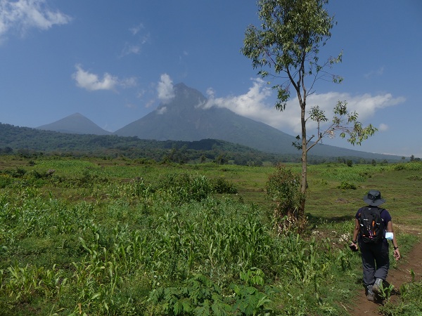 Silhouettes of Karisimbi (left) and Mikeno (right) volcanoes during the hike to the National Park´s boundary