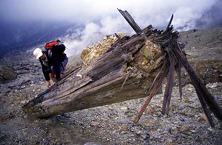 Un grand arbre déraciné lors de la dernière éruption du volcan Papandayan (2001)