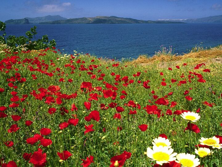 <TOKEN>Spring at Pláka (c)Tobias Schorr</TOKEN>