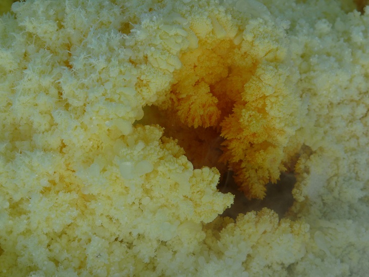 Grandes fumeroles et dépôts de soufre sur le cratère du volcan de la Fossa du Vulcano