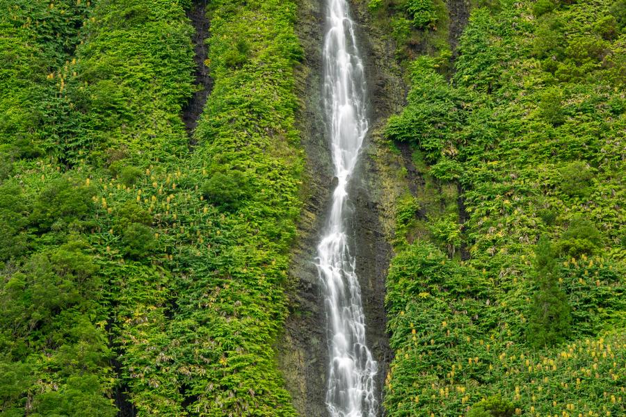 Flores Island