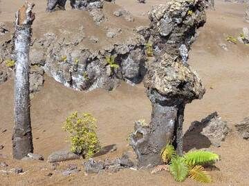 Lava Bäume auf dem östlichen Rift Zone Kilauea Vulkan, Hawaii