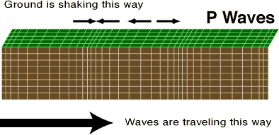 Illustration of a P-wave (image: USGS)