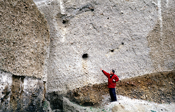 Bimsablagerungen auf Santorini, GR, von der großen Plinianischen "Minoischen" Eruption auf Santorini in 1613 v.Chr., mit Löchern, in denen verkohltes Olivenholz von Tom Pfeiffer in 2003 entdeckt wurde. Damit konnte man die Eruption der Minoischen Zeit mit der C14 Methode relativ genau datieren.