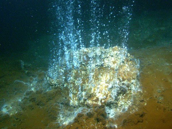 Hydrothermal vents occur when sea water enters the crust and comes in contact with the volcano's magma chamber. The hot fluid becomes enriched with minerals and then emerges through the vent; when it comes in contact with the colder seawater, its minerals are deposited and create mounds and 'chimneys'. Cyanobacteria use the hot water and minerals as an energy source through a process called chemosynthesis; this vent is covered with red, white, and black bacterial mats. Image taken by the ROV Hercules developed by the Institute for Exploration at Kolumbo underwater volcano, located northeast of Santorini in the Aegean Sea. Image courtesy of the Institute for Exploration, the University of Rhode Island (URI) Graduate School of Oceanography (GSO), and the URI Institute for Archaeological Oceanography.